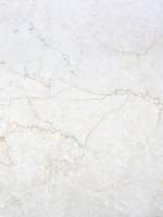 ../photos/Italian natural marbles/bottocino.JPG